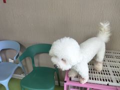 -乐汇城
