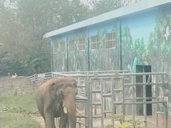 -西安秦岭野生动物园