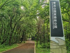 -青龙山国家森林公园