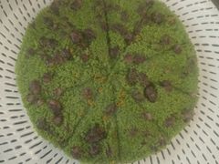 -蟹天蟹地农家菜·阳澄湖大闸蟹(浅水湾店)