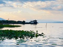 -才村湿地公园