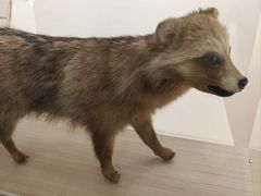-中国湿地博物馆