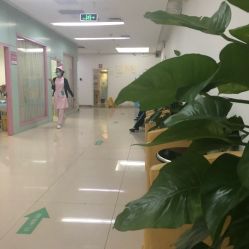 -五洲妇儿医院