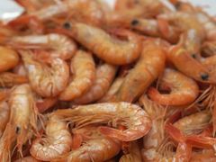 -良友·海鲜青岛菜·海肠捞饭(五四广场店)
