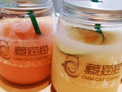 -藏猫猫咖啡主题馆(中央大道店)