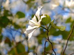 -南丰汇(新港东路店)