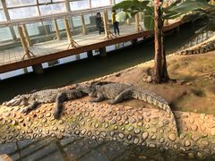 -石家庄市动物园