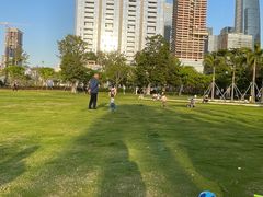 -宝安西湾红树林湿地公园