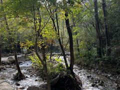 -玉渡山自然风景区