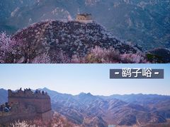 -沉浸北京·团建旅行·密室剧本杀·年会会议轰趴拓展
