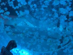 -常州海昌海洋探索馆