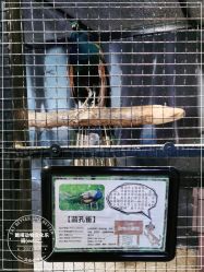 -酷嗒动物文化乐园(cutezoo西溪乐天城店)