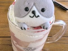 -猫小院猫主题餐厅(南锣旗舰店)