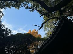 -包公祠