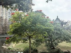 -四海公园(南山区)