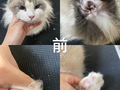 -听TA说宠咖·宠物生活馆(天韵水岸店)