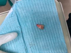 -泰康拜博口腔(凯迪大厦店)