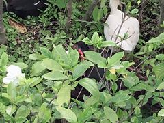 -大宁灵石公园西门票处
