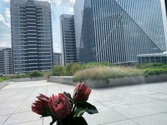 -凤凰湘语·湘粤鲜融(浦东旗舰店)