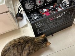 -鑫盛电脑科技(锦秋路店)