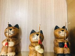 -飞行喵MR PILOT|猫舍·猫咖(静安大融城店)