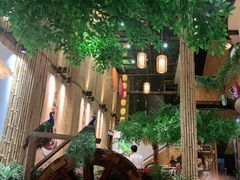 -大理董·董家小厨野生菌火锅(古城旗舰店)