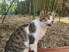 -小河无名面馆