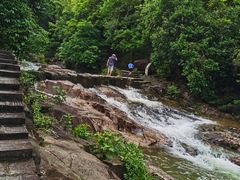 -广州白江湖森林公园