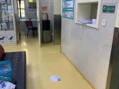 -瑞派天宁宠物医院·猫科·异宠中心