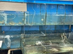 -晓琦农家菜馆·地道农家菜