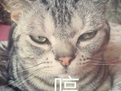 android_upload_pic-盛京一禾