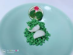 -西郊5号·Maggie 5