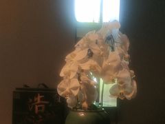-浩运·海鲜青岛菜·海胆水饺(石老人店)