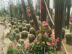 -石家庄市植物园