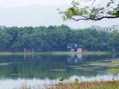 -福建鲤鱼洲酒店