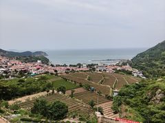 -仰口沙滩
