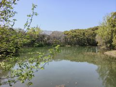 -昆山城市生态森林公园