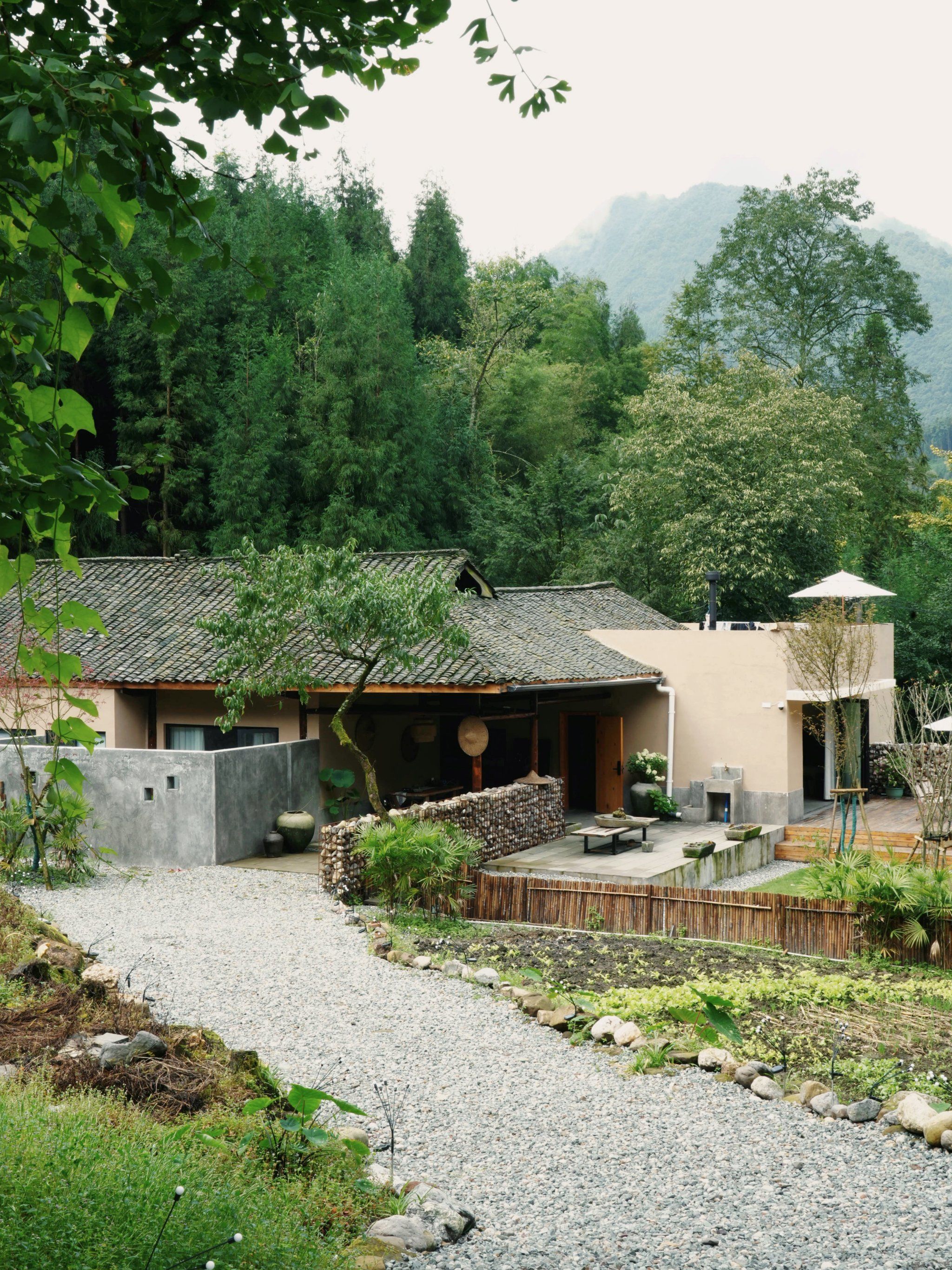 在大邑的小院里,找回了我的童年快乐