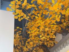 -食悦江南·淮扬菜·烤鸭(亚运村·惠新店)