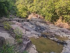 -广州白江湖森林公园