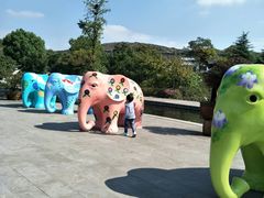 -白马涧龙池景区