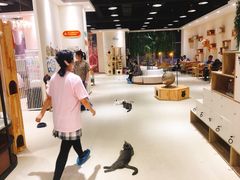 -藏猫猫咖啡主题馆(中央大道店)