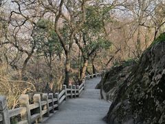 -灵岩山风景区