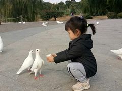 -无锡动物园·太湖欢乐园