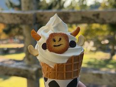 -神户市立六甲山牧场