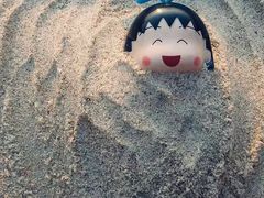 -西涌国际滨海旅游区