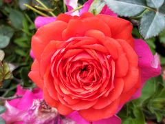 -人民公园(罗湖区)