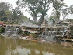 -东莞植物园