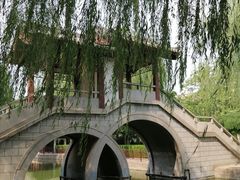 -团结湖公园