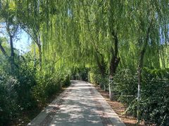 -南翠屏公园